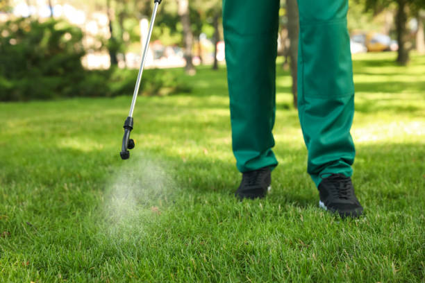 Best Exterminator Services  in Eaton, CO