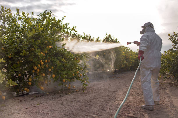 Best Mosquito Control Services  in Eaton, CO