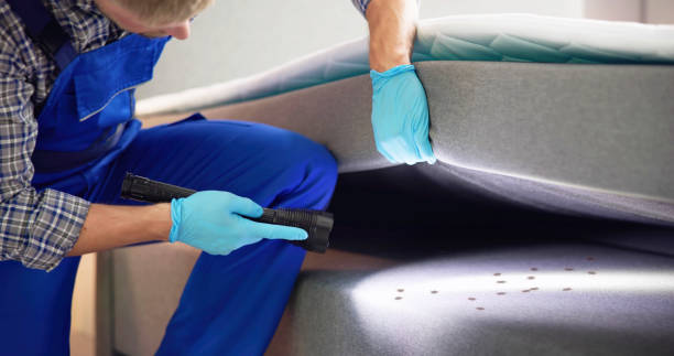 Best Flea Control Services  in Eaton, CO