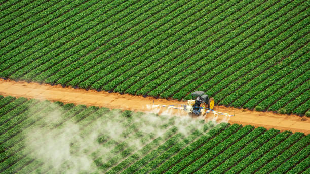 Pest Prevention Services in Eaton, CO