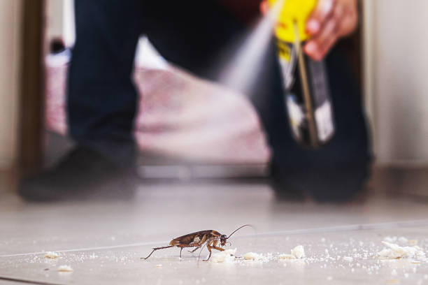 Best Best Pest Control Companies  in Eaton, CO