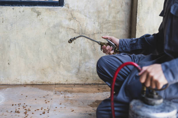 Best Pest Inspection Near Me  in Eaton, CO