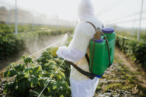 Best Pest Prevention Services  in Eaton, CO